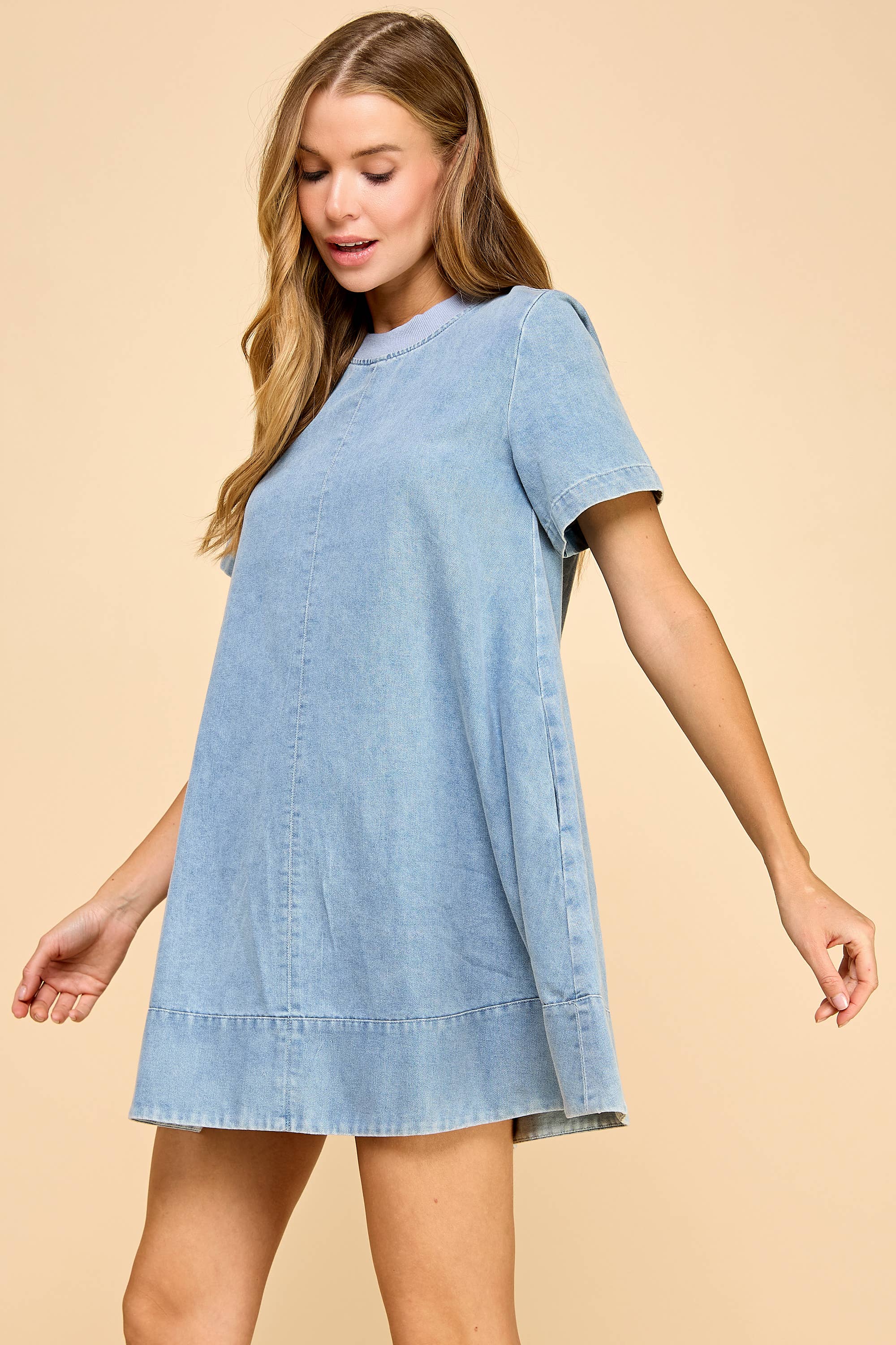 The Stephanie Denim Dress