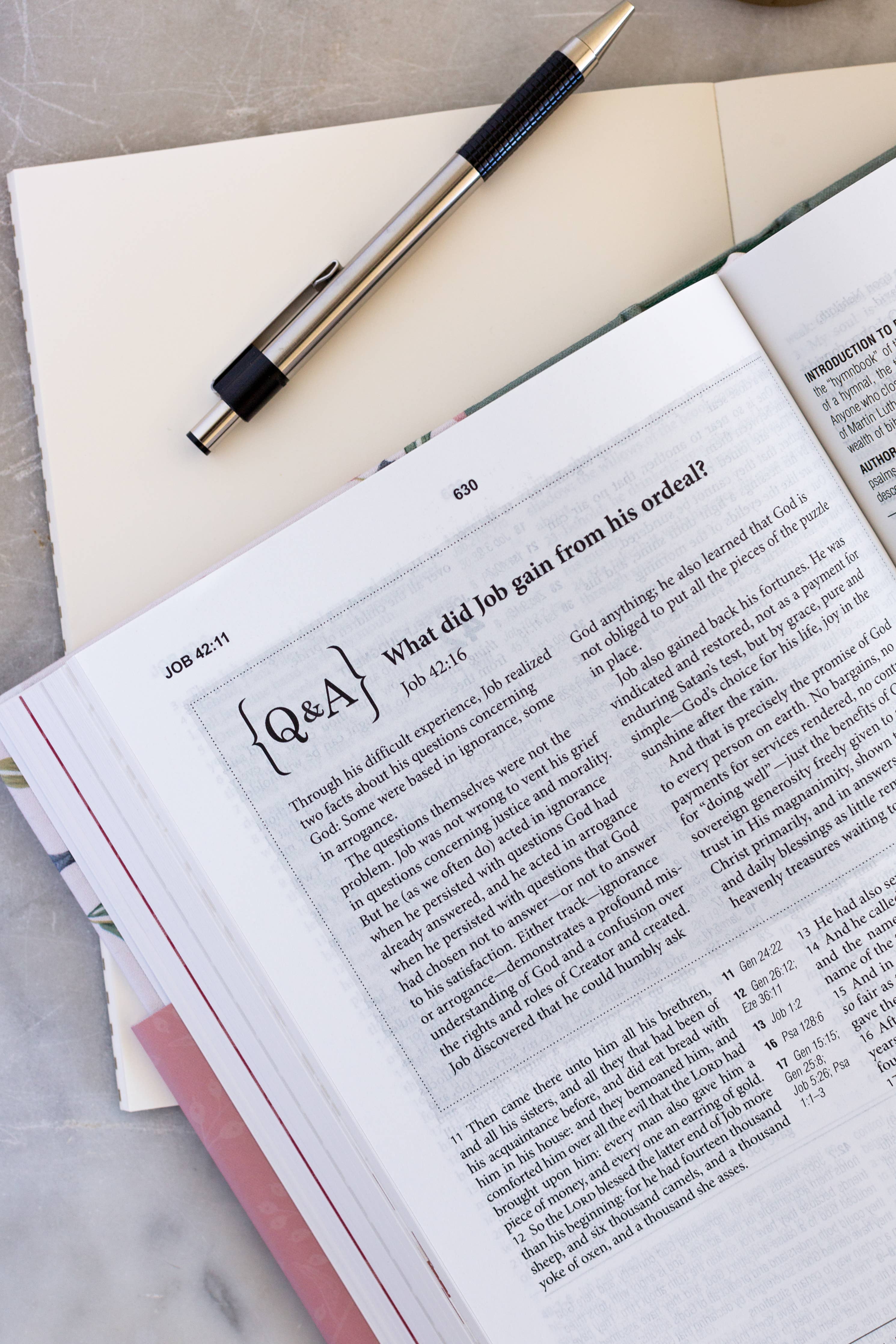 KJV Cross Reference Study Bible—Sage Songbird