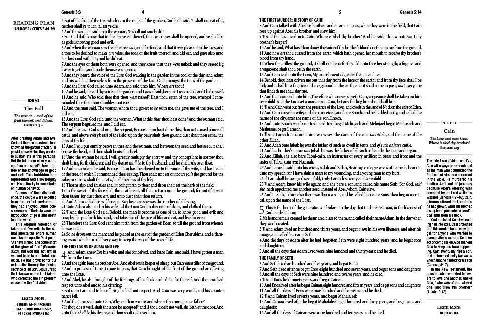 The 1-Minute KJV Study Bible (Lavender Petals)