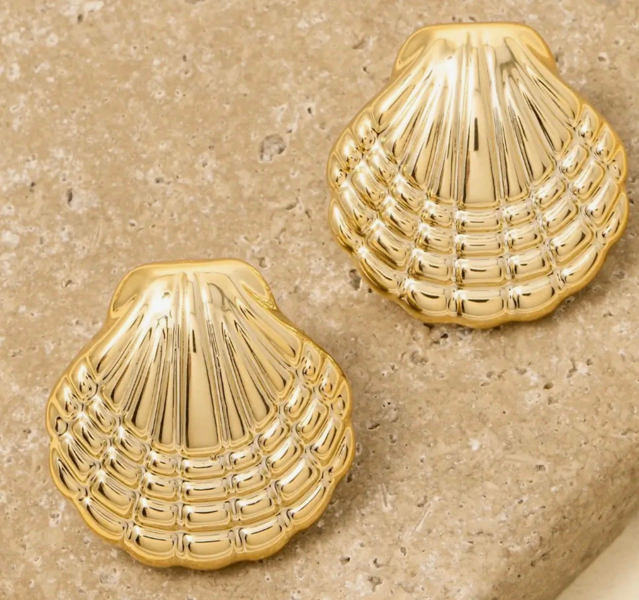 Shell Gold Earrings