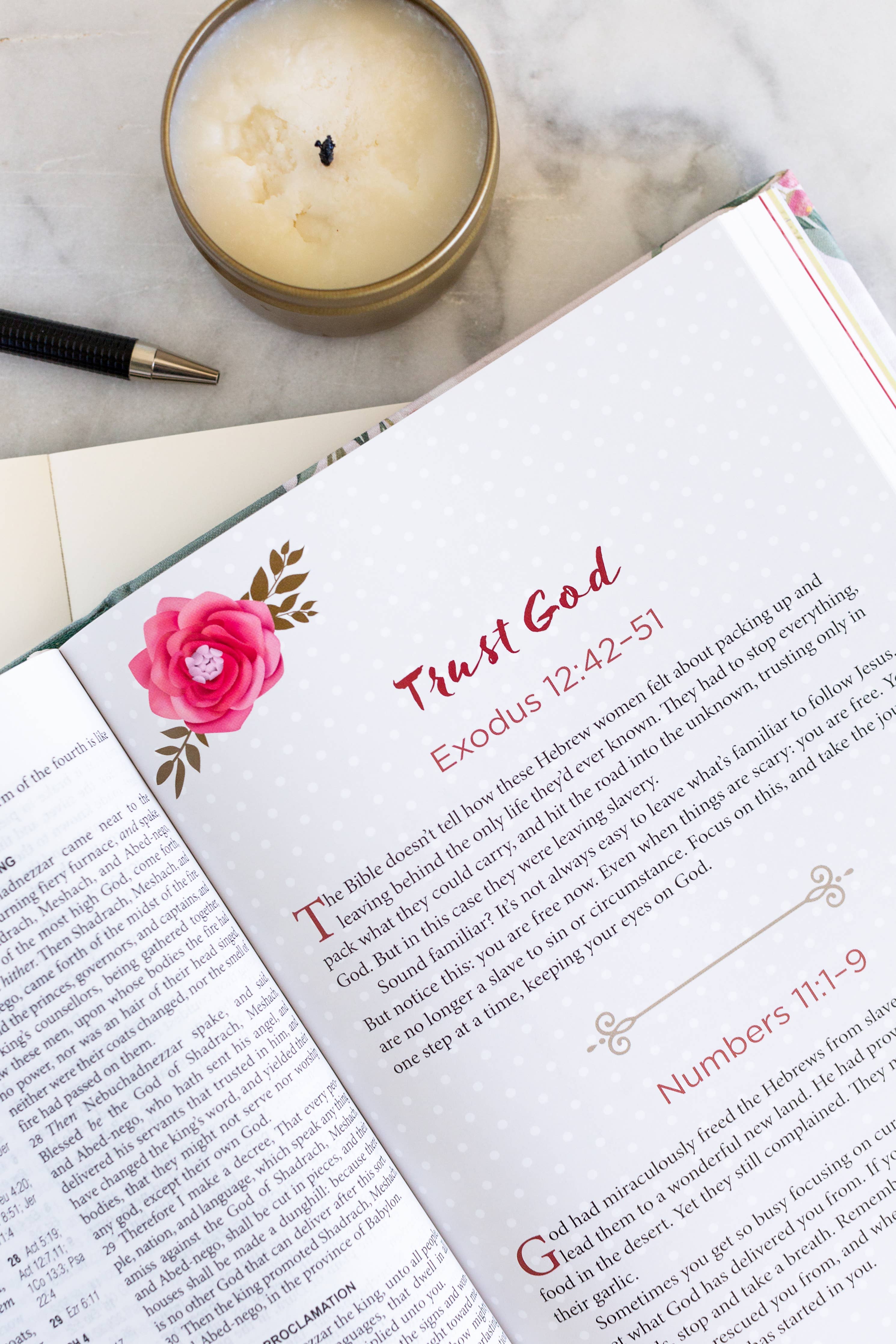 KJV Cross Reference Study Bible—Sage Songbird