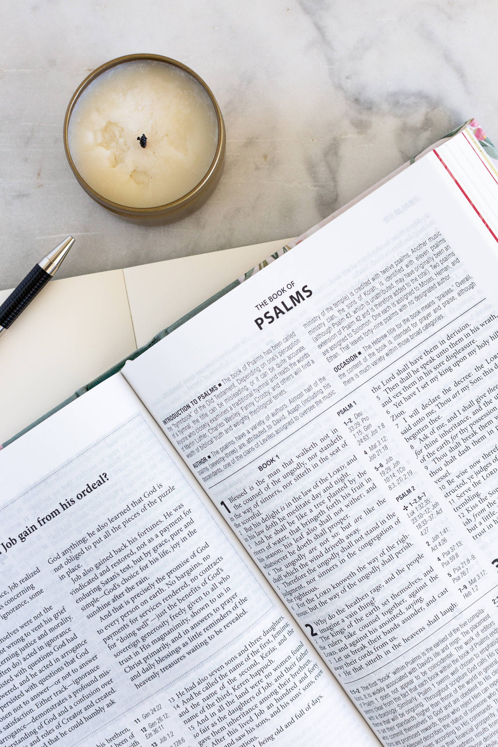 KJV Cross Reference Study Bible—Sage Songbird