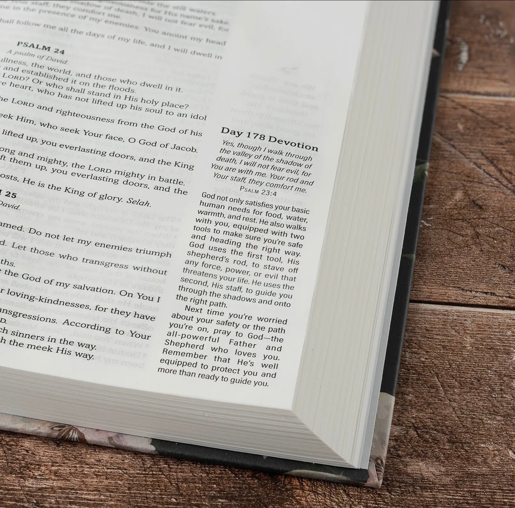 Daily Wisdom for Women SKJV Devotional Bible