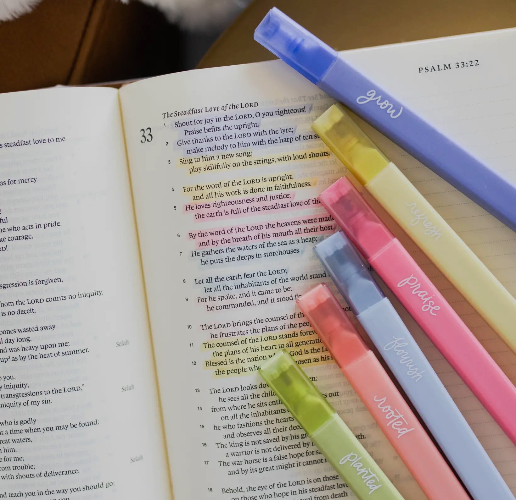Bible Highlighters