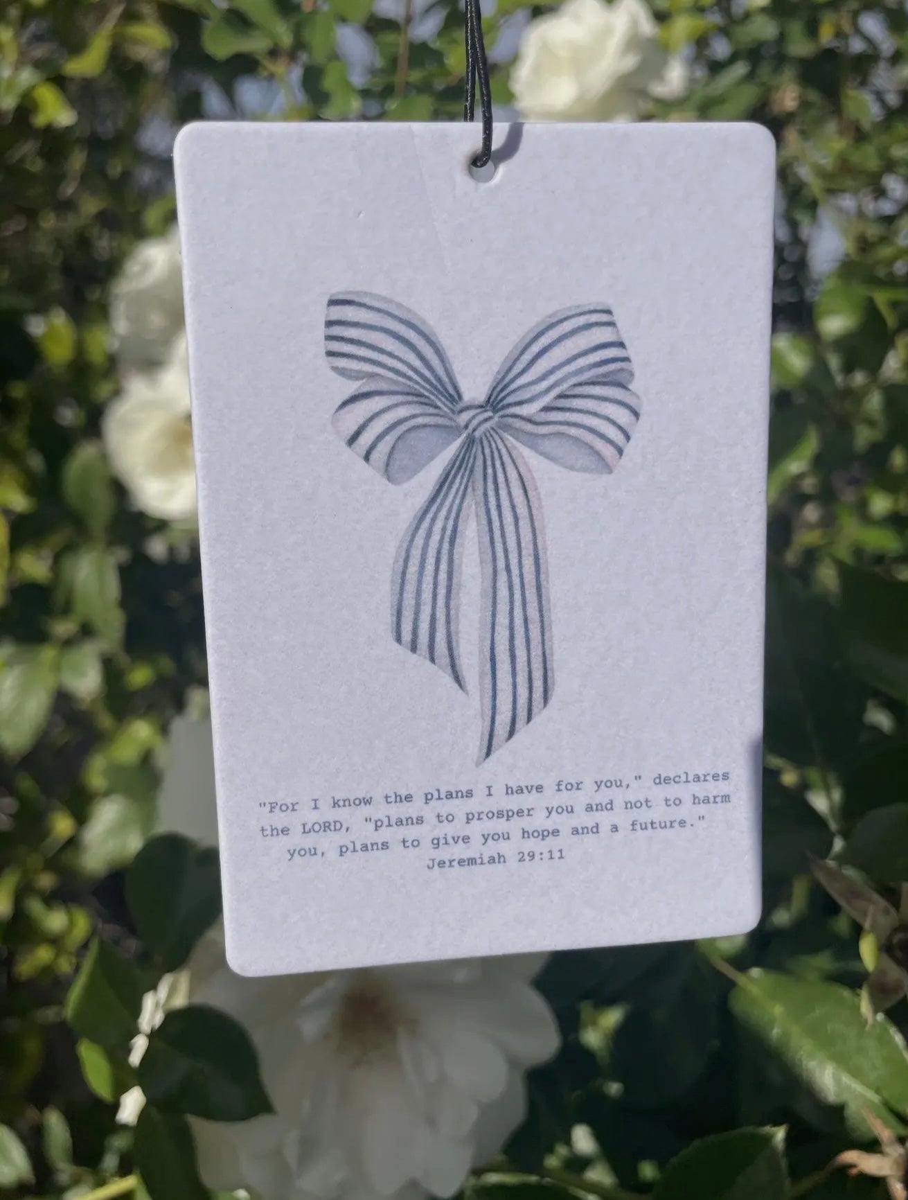 Jeremiah 29:11 Car Air Freshner