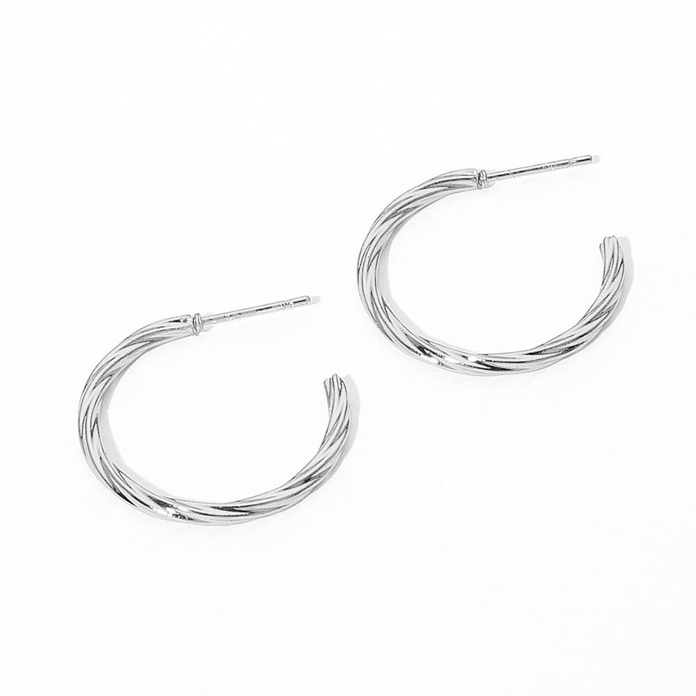 Gold Twisted Stainless Steel Hoop Earrings